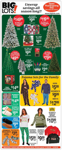 Big Lots 2025 Black Friday Ad